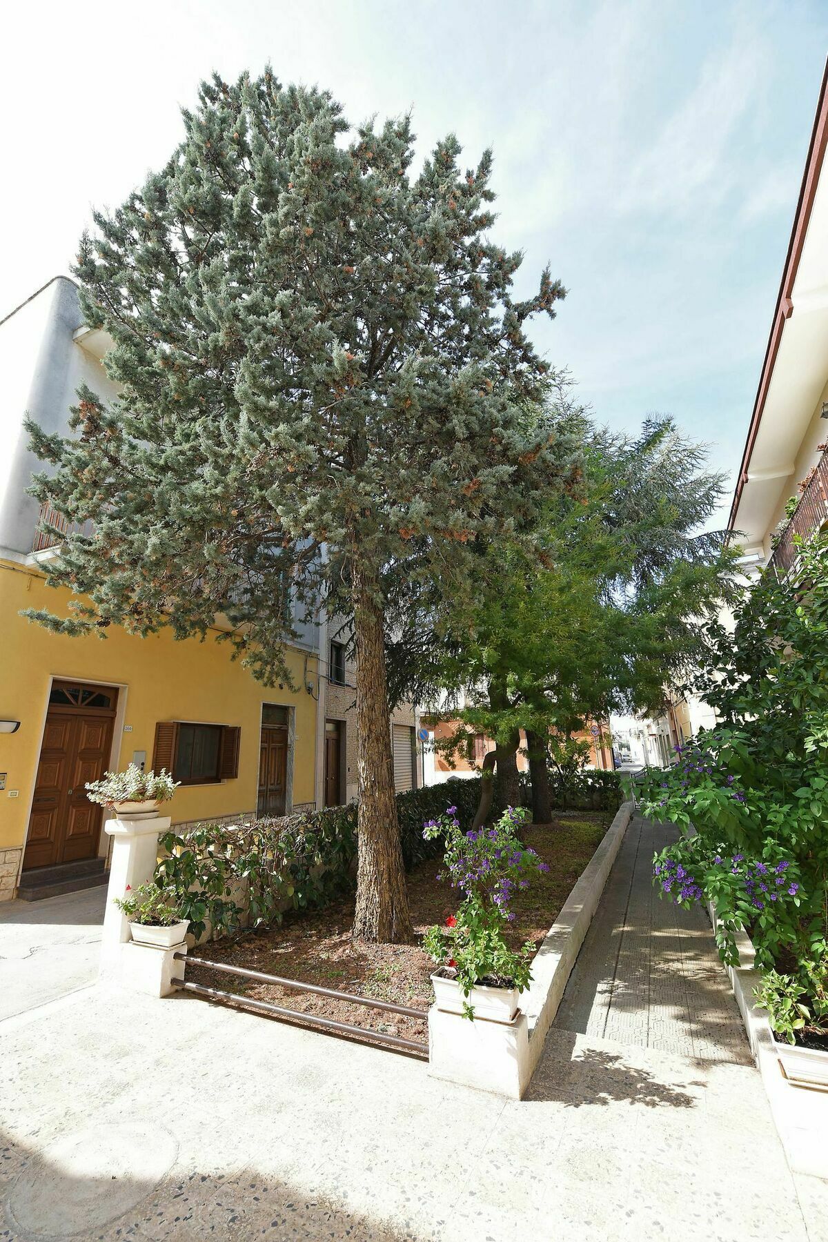Villa Ricciardi-Suite Famigliare 1-Zona Ostuni Montalbano  Zewnętrze zdjęcie